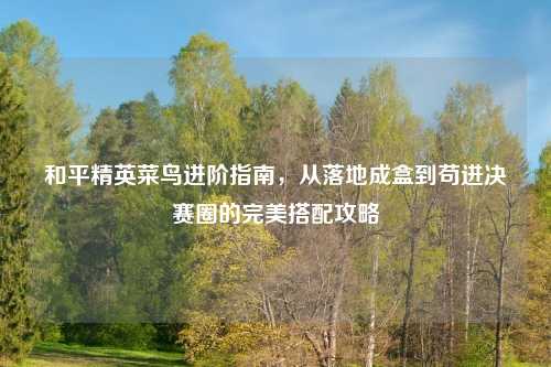 和平精英菜鸟进阶指南，从落地成盒到苟进决赛圈的完美搭配攻略