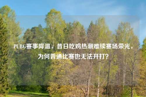 PUBG赛事降温，昔日吃鸡热潮难续赛场荣光，为何普通比赛也无法开打？