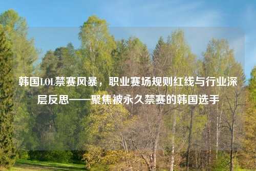 韩国LOL禁赛风暴，职业赛场规则红线与行业深层反思——聚焦被永久禁赛的韩国选手