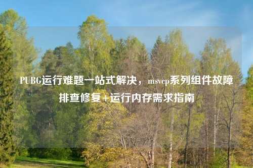 PUBG运行难题一站式解决，msvcp系列组件故障排查修复+运行内存需求指南