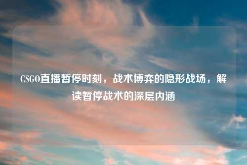 CSGO直播暂停时刻，战术博弈的隐形战场，解读暂停战术的深层内涵