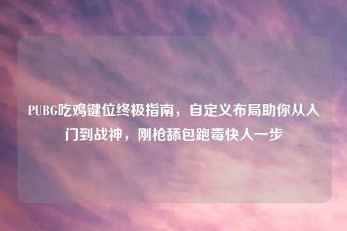 PUBG吃鸡键位终极指南，自定义布局助你从入门到战神，刚枪舔包跑毒快人一步