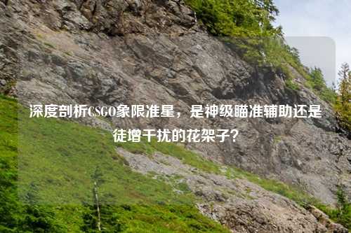深度剖析CSGO象限准星，是神级瞄准辅助还是徒增干扰的花架子？