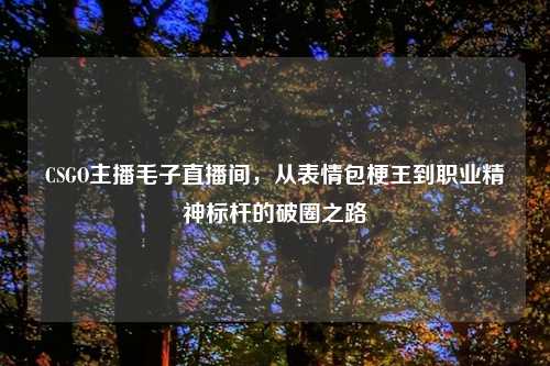 CSGO主播毛子直播间，从表情包梗王到职业精神标杆的破圈之路