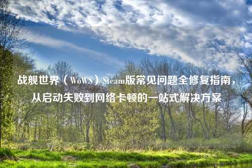 战舰世界（WoWS）Steam版常见问题全修复指南，从启动失败到     卡顿的一站式解决方案
