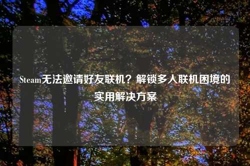 Steam无法邀请好友联机？解锁多人联机困境的实用解决方案