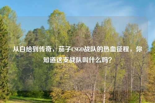 从白给到传奇，茄子CSGO战队的热血征程，你知道这支战队叫什么吗？