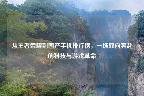 从王者荣耀到国产手机排行榜，一场双向奔赴的科技与游戏革命