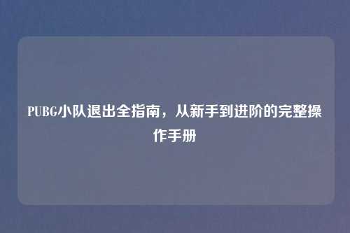 PUBG小队退出全指南，从新手到进阶的完整操作手册