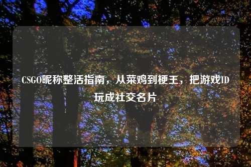 CSGO昵称整活指南，从菜鸡到梗王，把游戏ID玩成社交名片