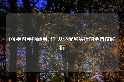 LOL手游手柄能用吗？从适配到实操的全方位解析