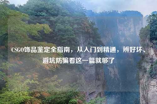 CSGO饰品鉴定全指南，从入门到精通，辨好坏、避坑防骗看这一篇就够了
