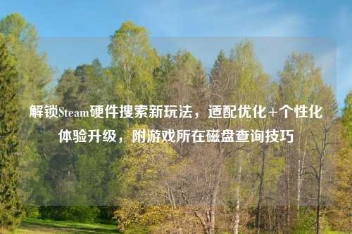 解锁Steam硬件搜索新玩法，适配优化+个性化体验升级，附游戏所在磁盘查询技巧