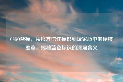 CSGO蓝标，从官方信任标识到玩家心中的硬核勋章，揭秘蓝色标识的深层含义