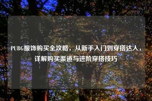 PUBG服饰购买全攻略，从新手入门到穿搭达人，详解购买渠道与进阶穿搭技巧