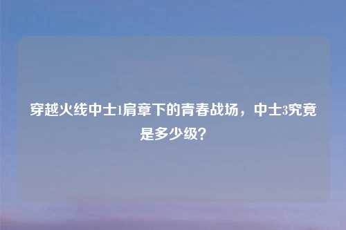 穿越火线中士1肩章下的青春战场，中士3究竟是多少级？