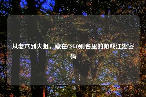 从老六到大狙，藏在CSGO别名里的游戏江湖密码