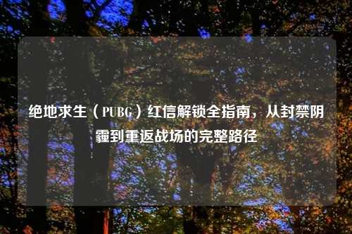 绝地求生（PUBG）红信解锁全指南，从封禁阴霾到重返战场的完整路径