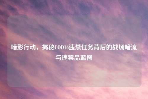 暗影行动，揭秘COD16违禁任务背后的战场暗流与违禁品蓝图