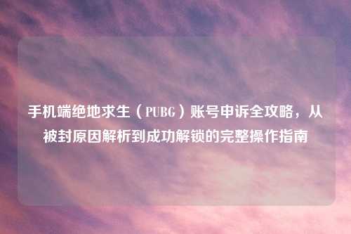手机端绝地求生（PUBG）账号申诉全攻略，从被封原因解析到成功解锁的完整操作指南