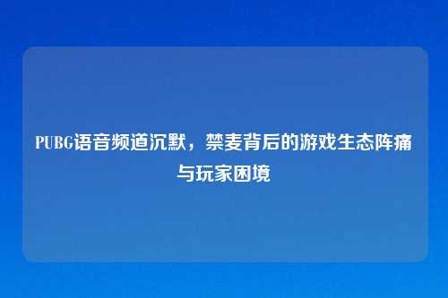 PUBG语音频道沉默，禁麦背后的游戏生态阵痛与玩家困境