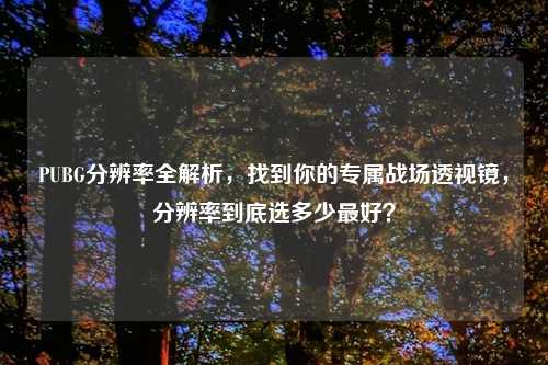 PUBG分辨率全解析，找到你的专属战场透视镜，分辨率到底选多少更好？
