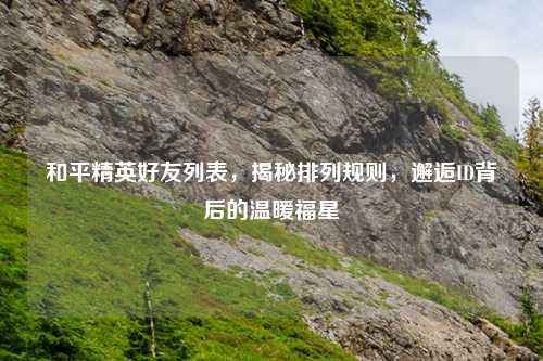和平精英好友列表，揭秘排列规则，邂逅ID背后的温暖福星