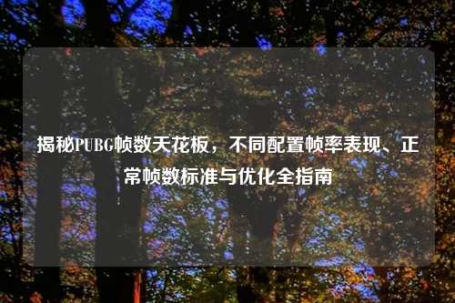 揭秘PUBG帧数天花板，不同配置帧率表现、正常帧数标准与优化全指南