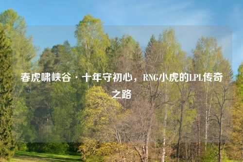 春虎啸峡谷·十年守初心，RNG小虎的LPL传奇之路