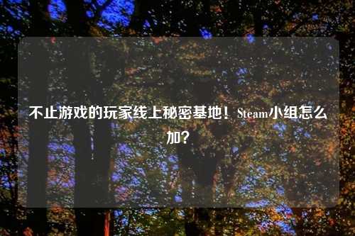 不止游戏的玩家线上秘密基地！Steam小组怎么加？