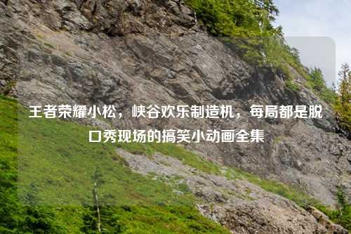 王者荣耀小松，峡谷欢乐制造机，每局都是脱口秀现场的搞笑小动画全集