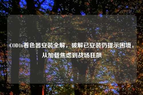 COD16着色器安装全解，破解已安装仍提示困境，从加载焦虑到战场狂飙