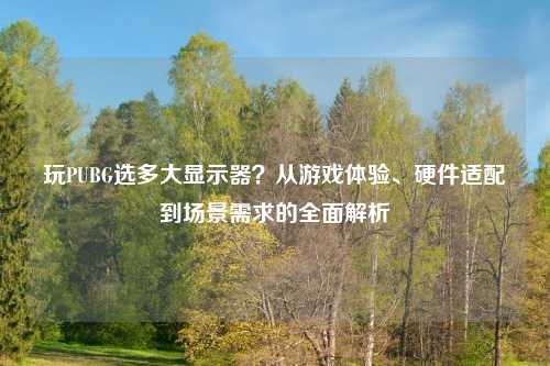 玩PUBG选多大显示器？从游戏体验、硬件适配到场景需求的全面解析