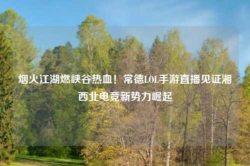 烟火江湖燃峡谷热血！常德LOL手游直播见证湘西北电竞新势力崛起