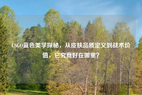 CSGO蓝色美学探秘，从皮肤品质定义到战术价值，它究竟好在哪里？
