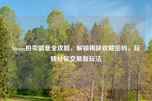 Steam拍卖徽章全攻略，解锁稀缺收藏密码，玩转社区交易新玩法