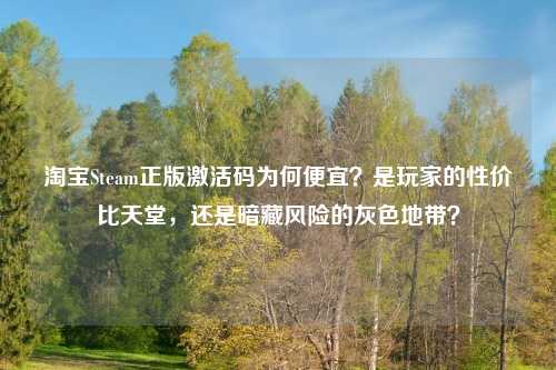     Steam正版激活码为何便宜？是玩家的性价比天堂，还是暗藏风险的灰色地带？