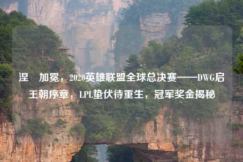 涅槃加冕，2020英雄联盟全球总决赛——DWG启王朝序章，LPL蛰伏待重生，冠军奖金揭秘