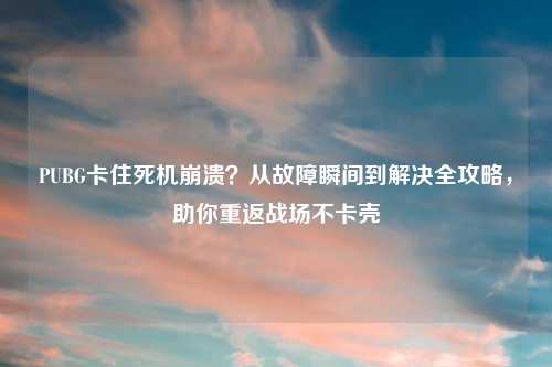 PUBG卡住死机崩溃？从故障瞬间到解决全攻略，助你重返战场不卡壳