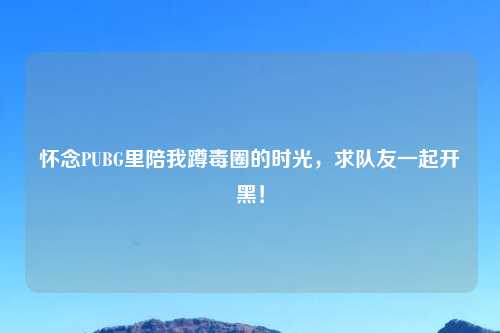 怀念PUBG里陪我蹲毒圈的时光,求队友一起开黑!