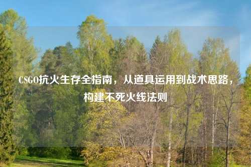 CSGO抗火生存全指南，从道具运用到战术思路，构建不死火线法则