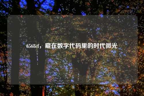 6568cf，藏在数字代码里的时代微光