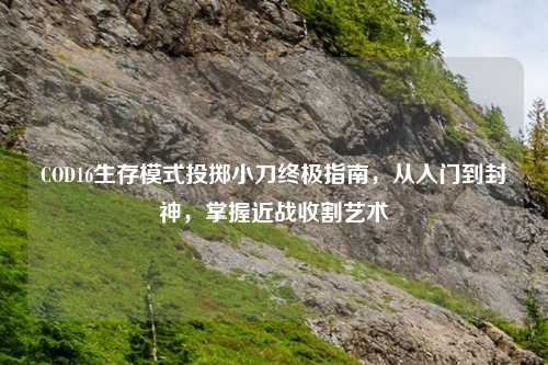 COD16生存模式投掷小刀终极指南，从入门到封神，掌握近战收割艺术