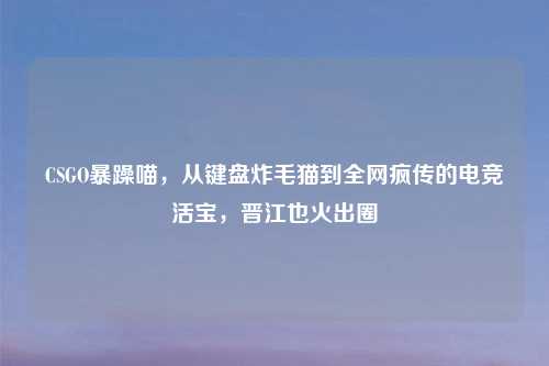 CSGO暴躁喵，从键盘炸毛猫到全网疯传的电竞活宝，晋江也火出圈