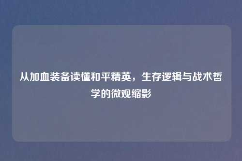 从加血装备读懂和平精英，生存逻辑与战术哲学的微观缩影