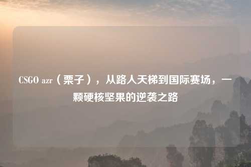 CSGO azr（栗子），从路人天梯到国际赛场，一颗硬核坚果的逆袭之路