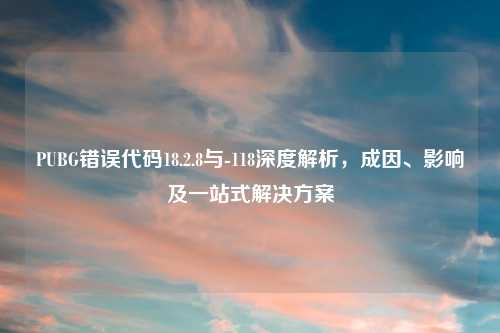 PUBG错误代码18.2.8与-118深度解析，成因、影响及一站式解决方案