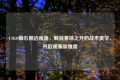 CSGO偏右侧边视角，解锁赛场之外的战术美学，开启观赛新维度
