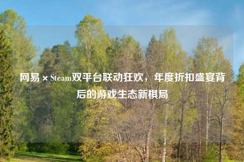 网易×Steam双平台联动狂欢，年度折扣盛宴背后的游戏生态新棋局