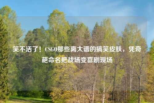 笑不活了！CSGO那些离大谱的搞笑皮肤，凭奇葩命名把战场变喜剧现场